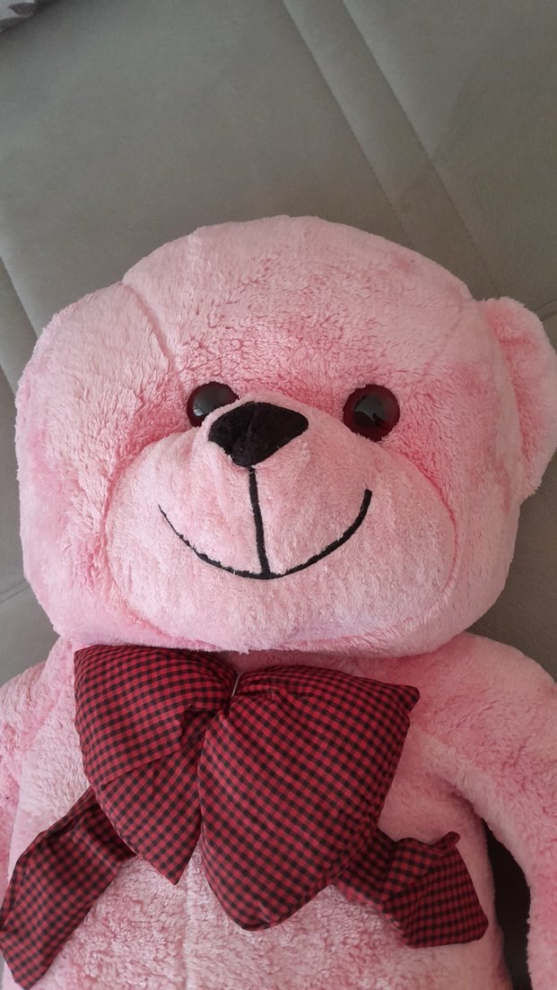 Pembe Peluş Ayıcık Oyuncak - Görsel 3