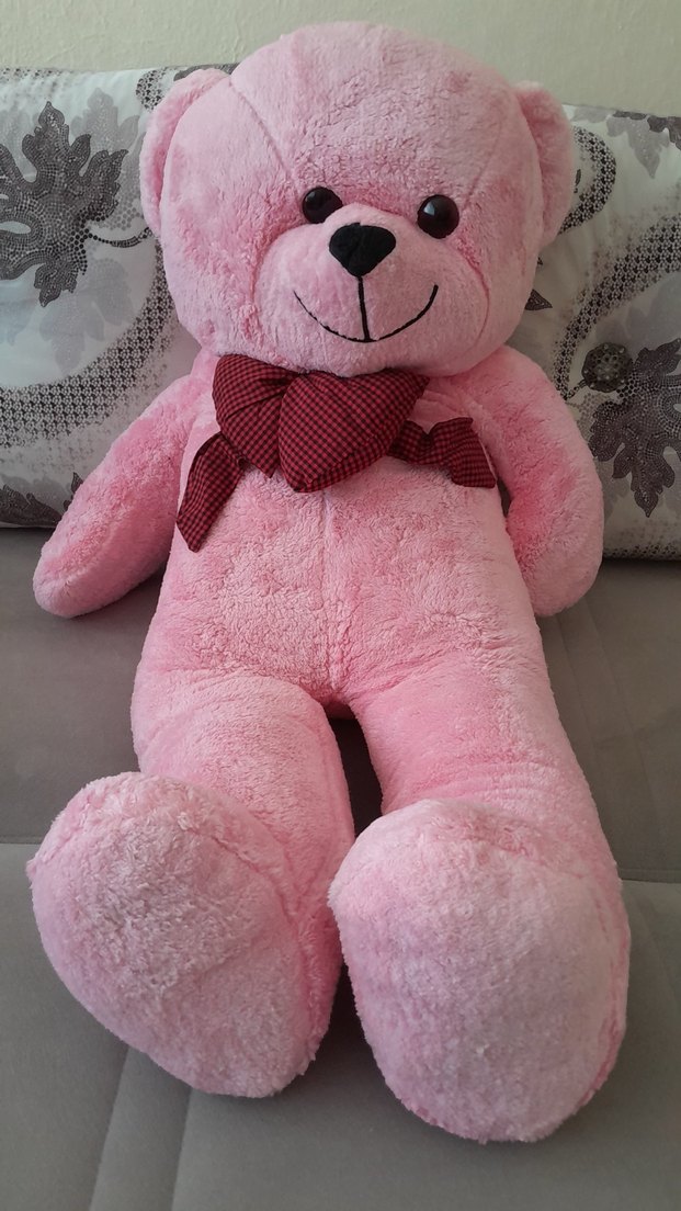 Pembe Peluş Ayıcık Oyuncak - Görsel 4