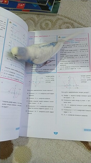 Beden Sonuç yayinlari