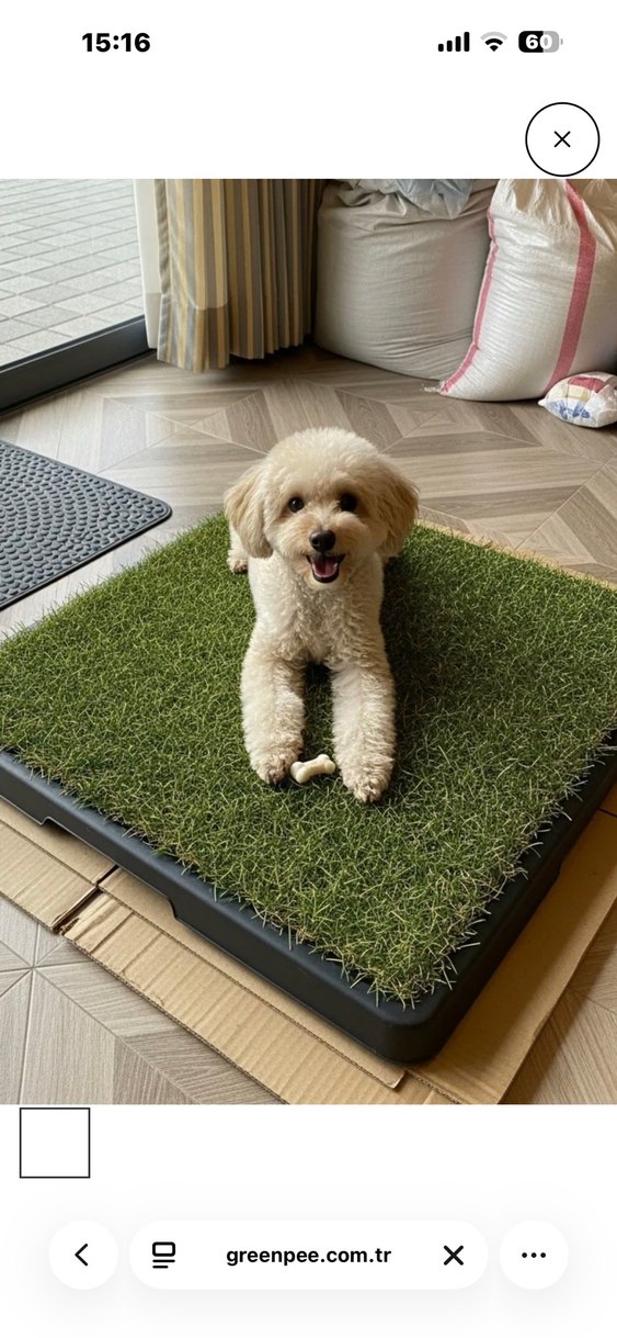 Yeşil Yapay Çim Tuvalet Köpek Tuvaleti - Görsel 2