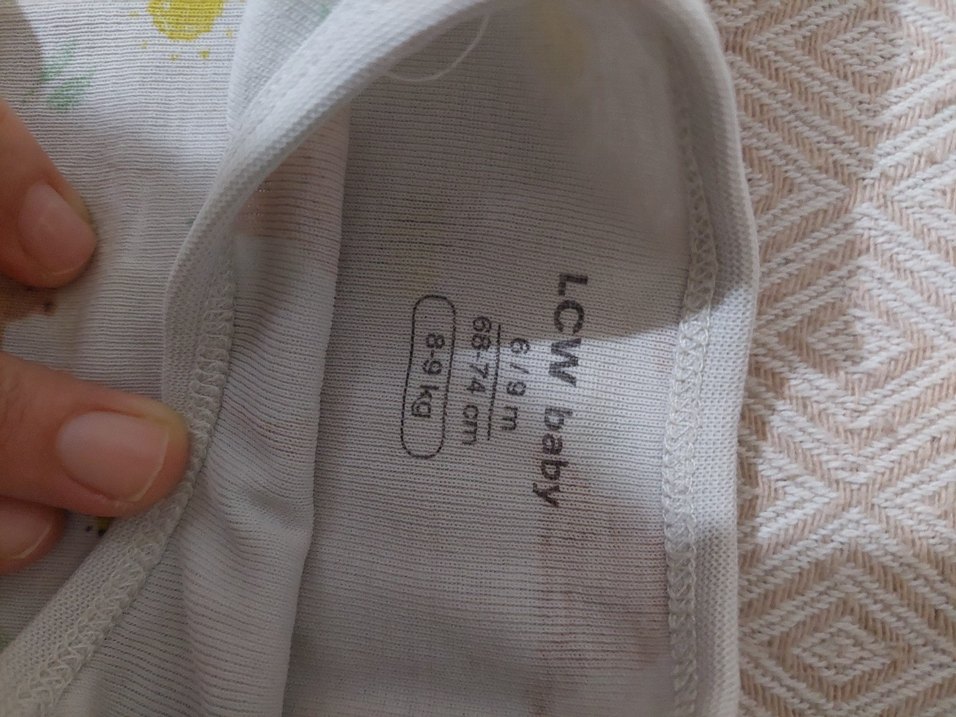 Kısa Kollu Ayı Desenli Bebek Body - Görsel 5