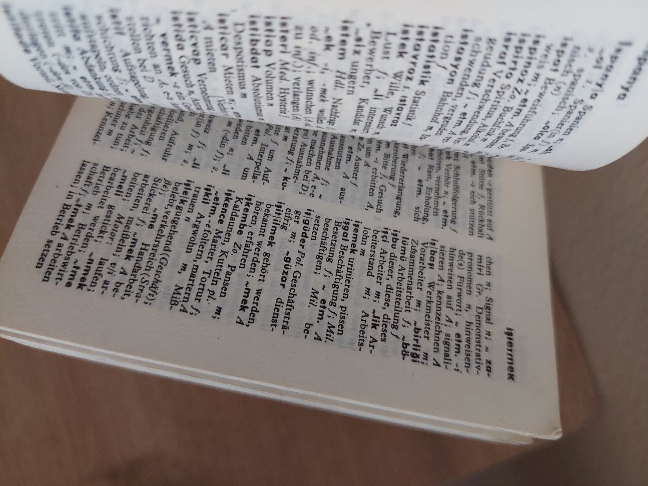 Türkçe-Almanca Sözlük Kitabı - Görsel 3