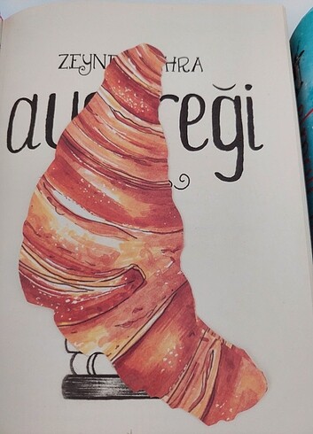  Beden Renk Ayçöreği Serisi 