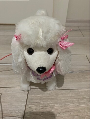  Beden Havlayan köpek