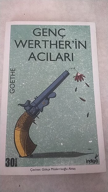 Genç Werther'in Acıları 