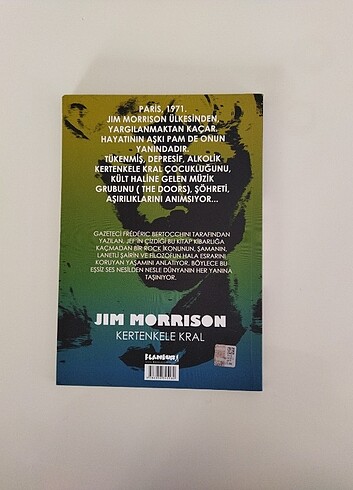 Jim Morrisan çizgi roman