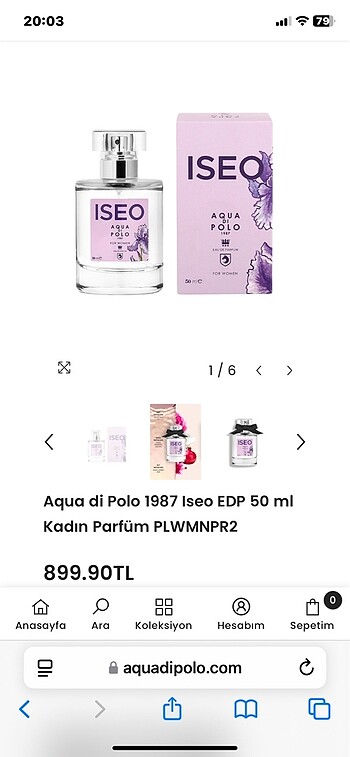 Aqua si Polo