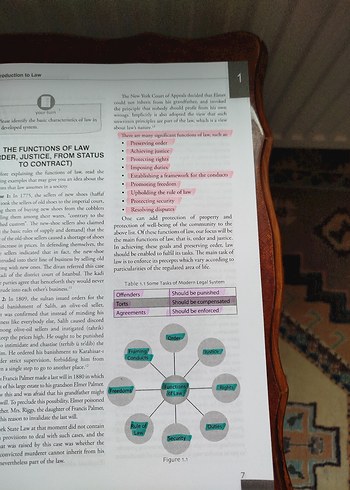 Introduction to Law - Anadolu Üniversitesi Yayını - Görsel 6