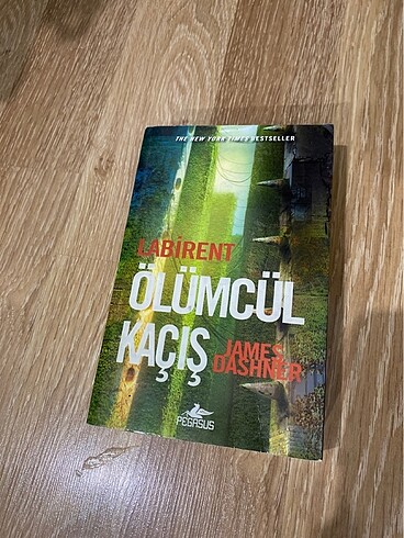 Labirent ölümcül kaçış