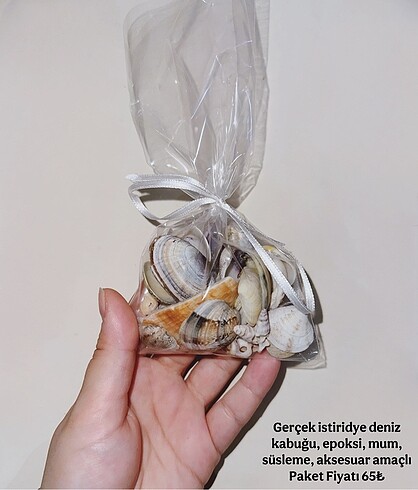 Gerçek Deniz Kabuğu Aksesuar Süsleme