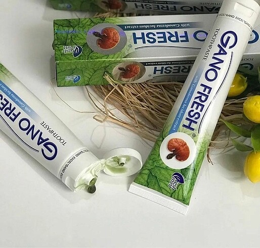 Diş fırçası