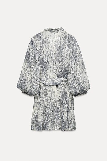 Zara desenli elbise - Görsel 4