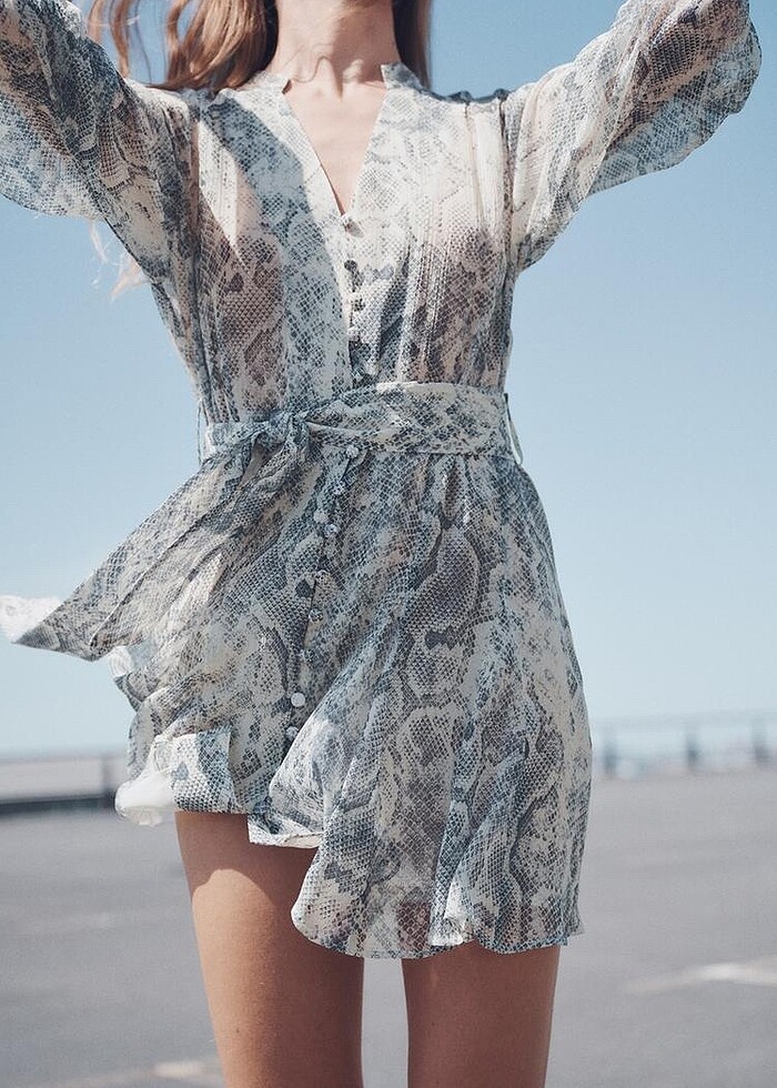 Zara desenli elbise - Görsel 2