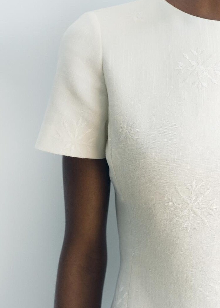 Zara İşlemeli Elbise - Görsel 4