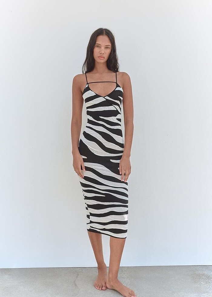 Zara Desenli Elbise - Görsel 2