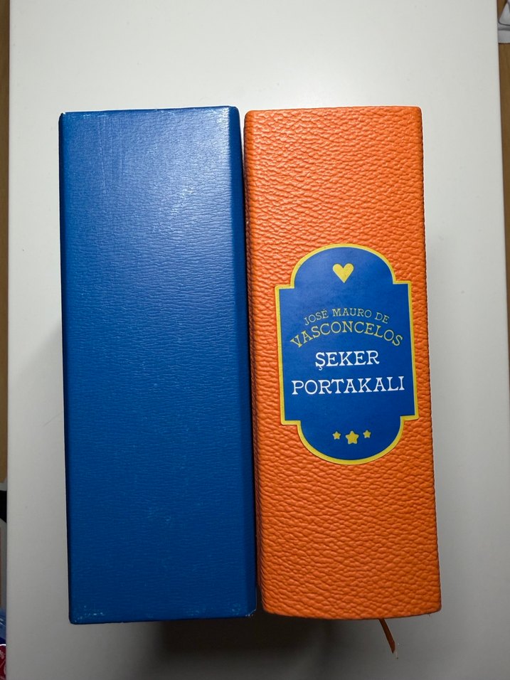 Şeker Portakalı Kitabı - Görsel 3