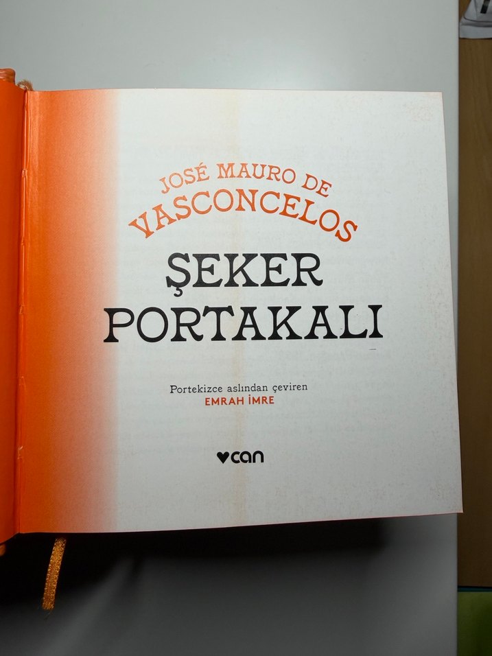 Şeker Portakalı Kitabı - Görsel 2