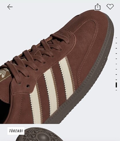 36,5 Beden bordo Renk Adidas samba og bordo kahverengi arası