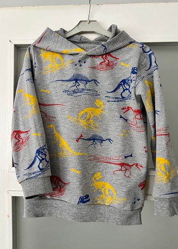 Kapüşonlu Erkek Çocuk Gri Dinozor Baskılı Sweatshirt - Görsel 2