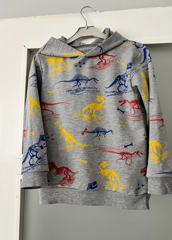 Kapüşonlu Erkek Çocuk Gri Dinozor Baskılı Sweatshirt - Görsel 3