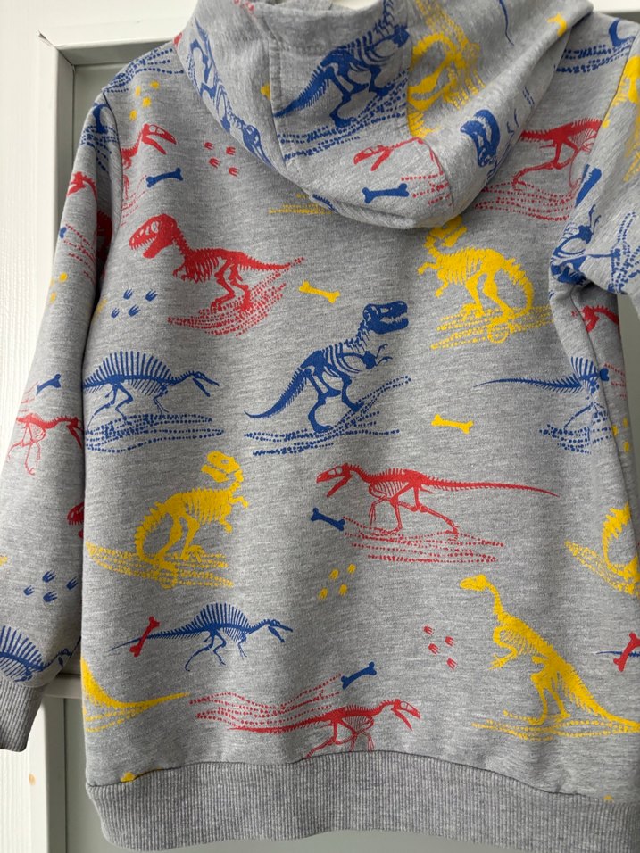 Kapüşonlu Erkek Çocuk Gri Dinozor Baskılı Sweatshirt - Görsel 5