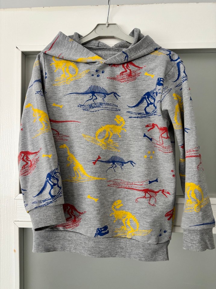 Kapüşonlu Erkek Çocuk Gri Dinozor Baskılı Sweatshirt - Görsel 2