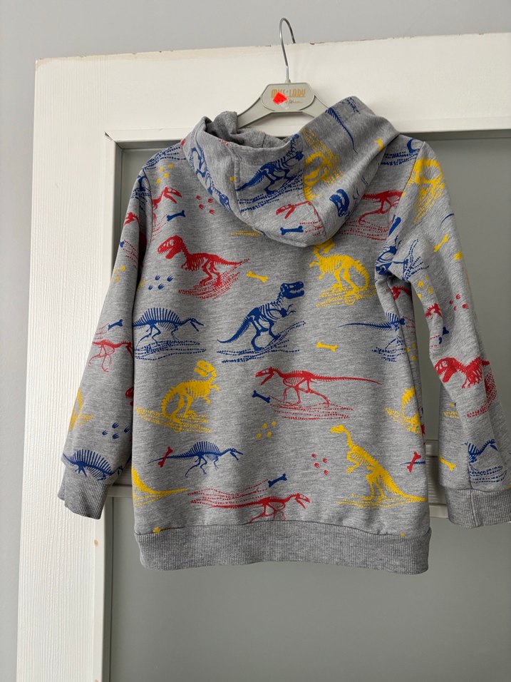 Kapüşonlu Erkek Çocuk Gri Dinozor Baskılı Sweatshirt - Görsel 4