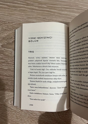  Beden Renk Uyumsuz Serisi 3'lü Set