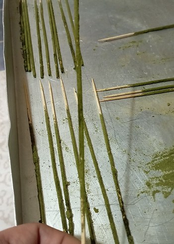 Akvaryum Karides Yemi/Stick Çubuk
