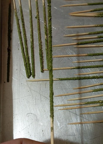 Akvaryum Karides Yemi/Stick Çubuk