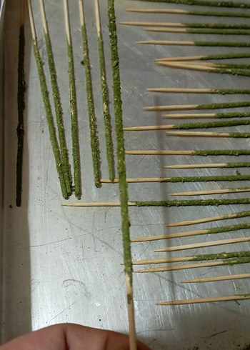 Beden Akvaryum Karides Yemi/Stick Çubuk