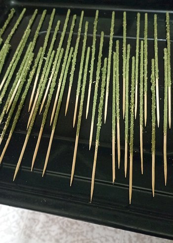 Akvaryum Karides Yemi/Stick Çubuk