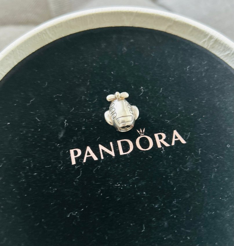 Pandora Gri Tokalı Biker Kadın Charm - Görsel 4