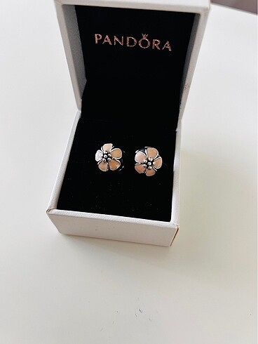 Pandora Klips Charm