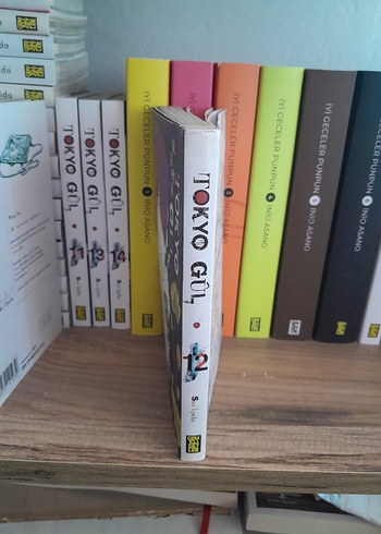 Beden Renk Tokyo Gul 12.cilt manga