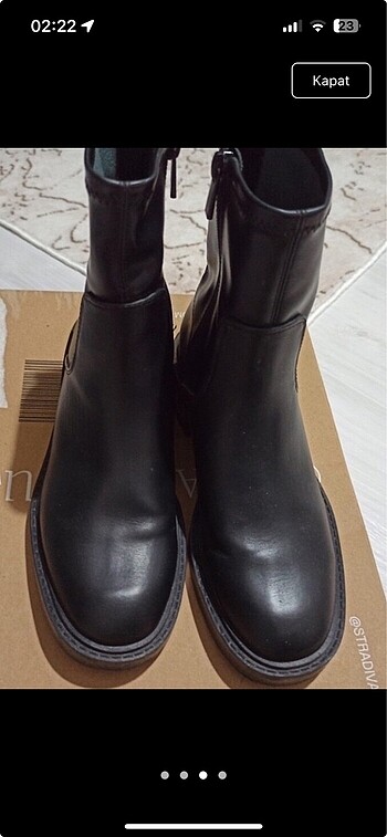 36 Beden Stradivarius bot