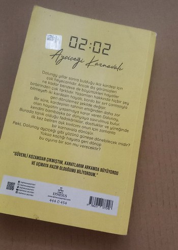 Ayçiçeği Karnavalı - N.G. Kabal