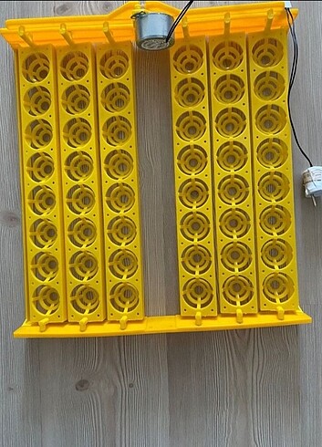 48 li kuluçka viyolü