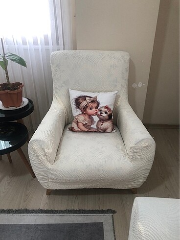 Beden Koltuk ortusu