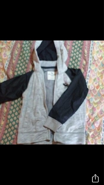 Abercrombie & Fitch Çocuk Sweat Mont