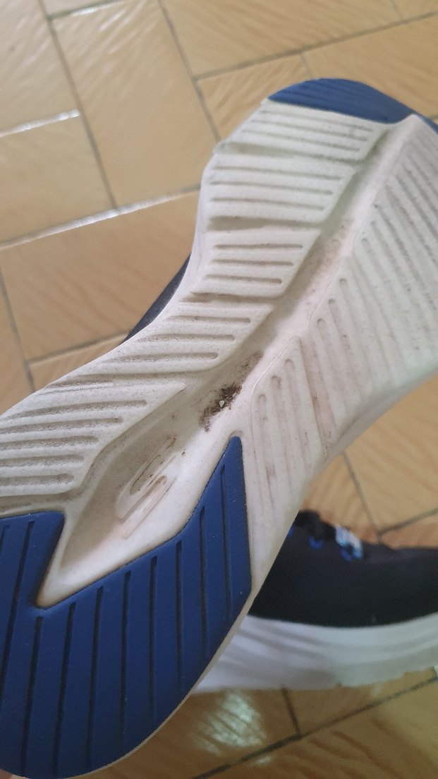 skechers Lacivert Spor Ayakkabı Wedge Topuklu - Görsel 4