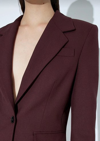 Bordo Düğmeli Kadın Blazer Ceket - Görsel 6