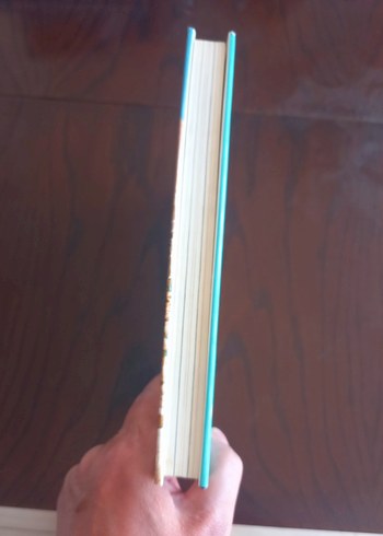 KARAR,ZİMMET VE EVRAK KAYIT DEFTERİ SETİ - Görsel 6