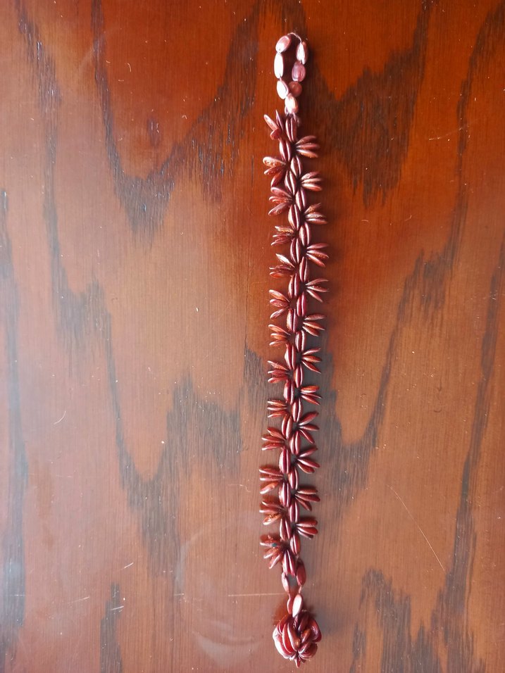 TOHUM BİLEKLİK/ UNİSEX/ TİBET - Görsel 4