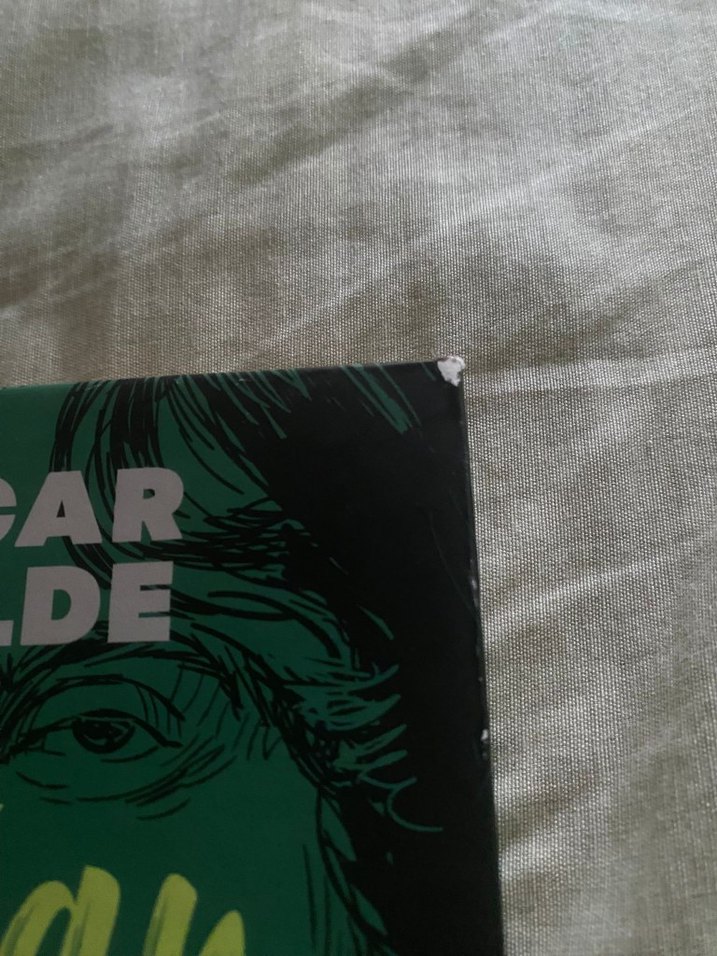 Fyodor Dostoyevski ve Oscar Wilde Romanlarıi - Görsel 3