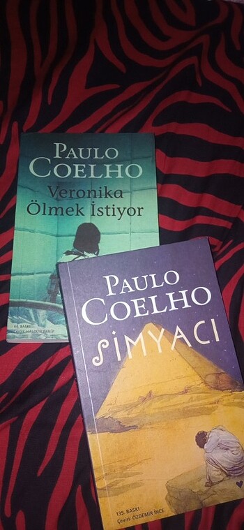 Paulo Coelho - Veronika Ölmek İstiyor, Simyacı 