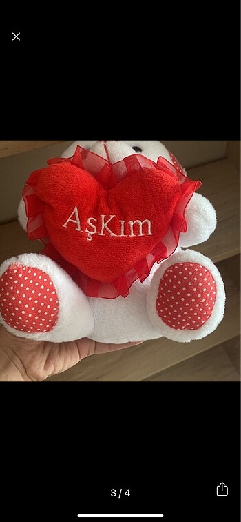  Beden Ayıcık