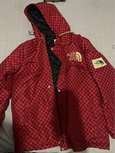 The north face gucci