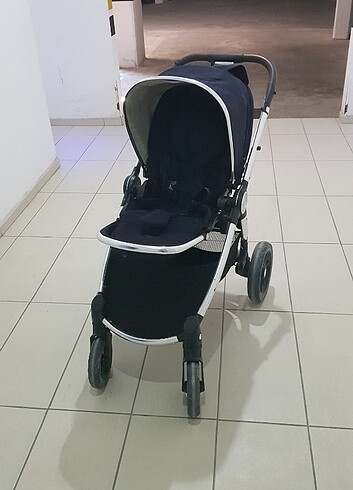  Mamas Papas Bebek Arabas? 