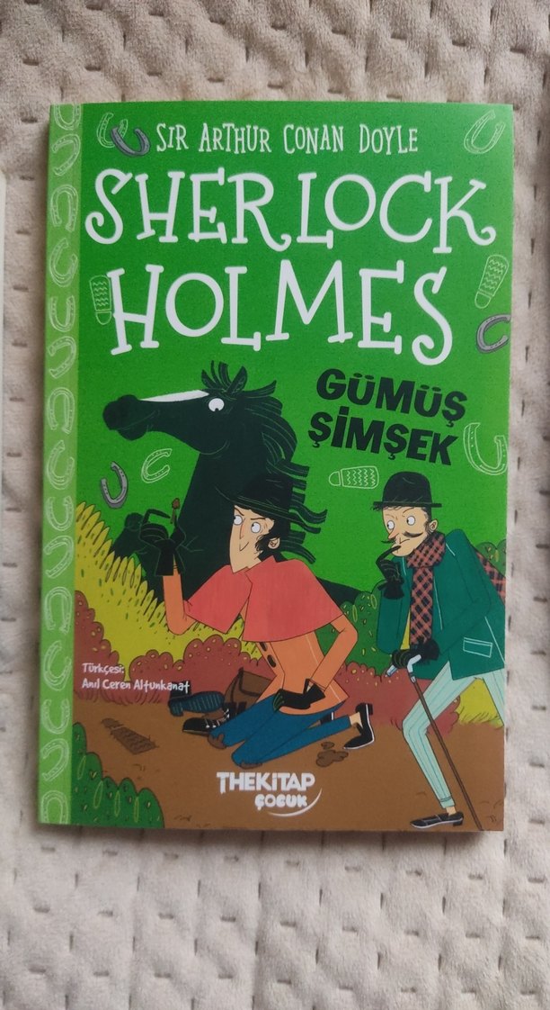 Sherlock Holmes Çocuk Kitapları /Arktika - Görsel 4